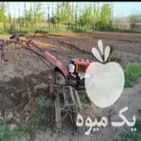 فروش موتور تیلر سالم 4 نیم اسب در زنجان در گروه خرید و فروش موتور تیلر در یکمیوه