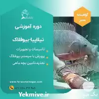 دوره آموزشی پرورش ماهی تیلاپیابا بیوفلاک در تهران