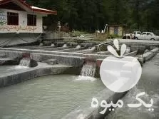 احداث استخر پرورش ماهی با ورق در گروه خرید و فروش ژئوممبران در یکمیوه -عکس1