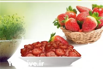 فروش میوه خشک توت فرنگی ممتاز در گروه خرید و فروش میوه خشک در یکمیوه -عکس1