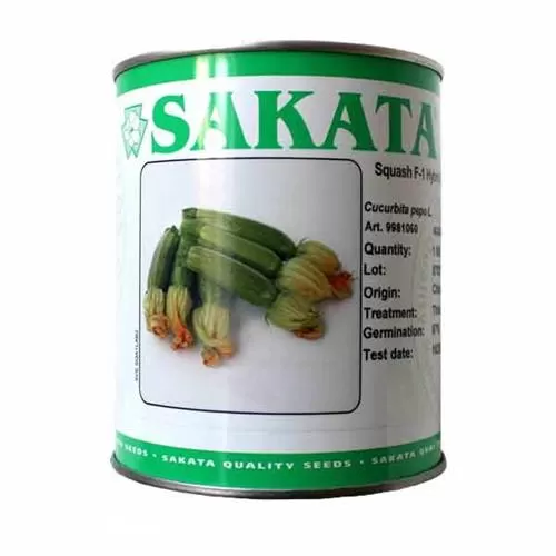 فروش بذر کدو سوها ساکاتا در گروه خرید و فروش بذر کدو در یکمیوه -عکس1