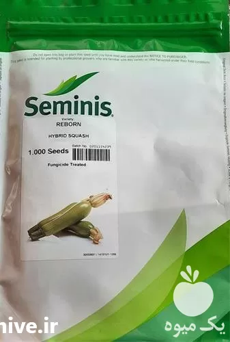 فروش بذر ریبورن در خوزستان در گروه خرید و فروش بذر کدو در یکمیوه -عکس1