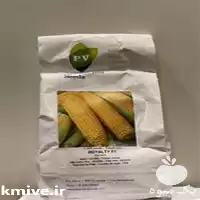 عرضه و فروش بذر ذرت امیلا در گروه خرید و فروش بذر ذرت در یکمیوه