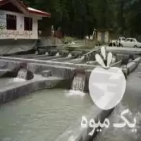 احداث استخر پرورش ماهی با ورق در گروه خرید و فروش ژئوممبران در یکمیوه