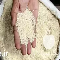 فروش برنج هاشمی اصل مازندران در گروه خرید و فروش برنج در یکمیوه