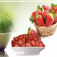 فروش میوه خشک توت فرنگی ممتاز در گروه خرید و فروش میوه خشک در یکمیوه
