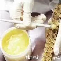 خرید آموزش تخصصی تولید ژل رویال در تهران در گروه دوره آموزش کشاورزی در یکمیوه