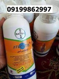علف کش اتلانتیس اصل در بوشهر در گروه خرید و فروش انواع سم در یکمیوه