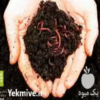 خرید کود ورمی کمپوست کرم خاکی در ملارد در گروه خرید و فروش کود کمپوست در یکمیوه