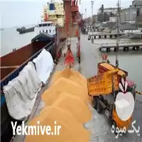 قیمت خرید خوراک دام طیور آبزیان در گروه خوراک دام و طیور در یکمیوه