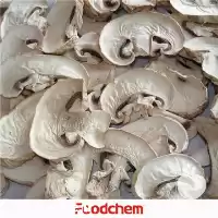 فروش پودر قارچ خشک دکمه ای در گروه خرید و فروش قارچ در یکمیوه