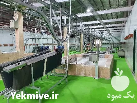 ساخت و احداث کشتارگاه صنعتی دام در تهران در گروه تجهیزات دامداری در یکمیوه -عکس1