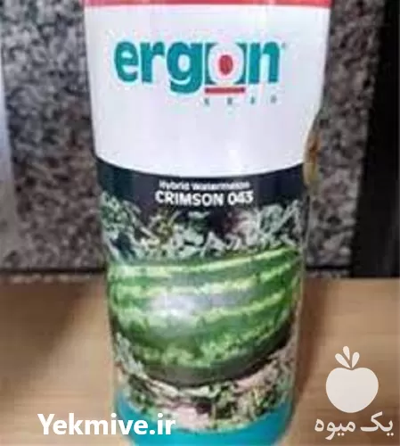 قیمت خرید توزیع هندوانه ارگون در گروه خرید و فروش بذر هندوانه در یکمیوه -عکس1