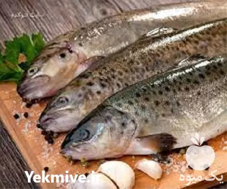 دوره آموزش پرورش ماهی قزل آلا در گروه دوره آموزش کشاورزی در یکمیوه -عکس1