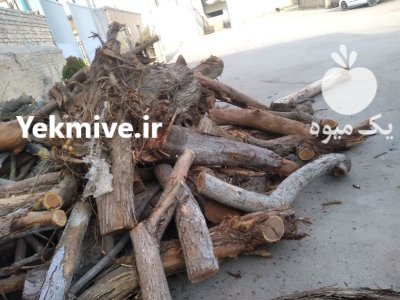 تنه چوب درخت کهور در اصفهان در گروه خرید و فروش انواع چوب در یکمیوه -عکس2