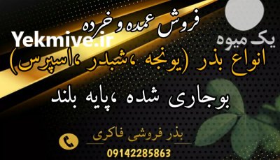 فروش بذر یونجه پا بلند در بیستون در گروه خرید و فروش بذر یونجه در یکمیوه -عکس3