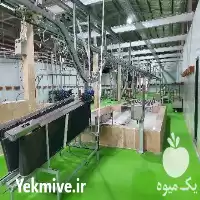 ساخت و احداث کشتارگاه صنعتی دام در تهران در گروه تجهیزات دامداری در یکمیوه
