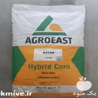 فروش عرضه بذر ذرت ای استار در همدان در گروه خرید و فروش بذر ذرت در یکمیوه