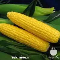 قیمت بذر ذرت سوپر سوئیت بیسین در گروه خرید و فروش بذر ذرت در یکمیوه