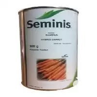 قیمت خرید بذر هویج کارینا در گروه خرید و فروش بذر هویج در یکمیوه