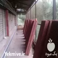 پد سلولزی فنلاندی گلخانه و مرغداری در گروه خرید و فروش تجهیزات گلخانه در یکمیوه