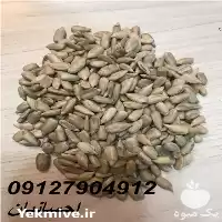 قیمت خرید کنجد پاکستانی در تهران در گروه خرید و فروش دانه های روغنی در یکمیوه