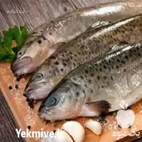 دوره آموزش پرورش ماهی قزل آلا در گروه دوره آموزش کشاورزی در یکمیوه