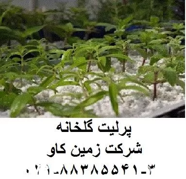 پرلیت perlite زمین کاو در گلخانه در گروه خرید و فروش انواع کود کشاورزی در یکمیوه -عکس1
