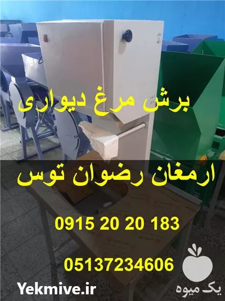 فروش مرغ خرد کن دیواری در گروه مرغ و خروس و بوقلمون و اردک قو قاز در یکمیوه -عکس1