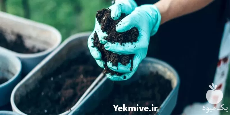 فروش خاک آپارتمانی بسته 20 کیلویی در تهران در گروه انواع محصولات خاک و تغذیه در یکمیوه -عکس1