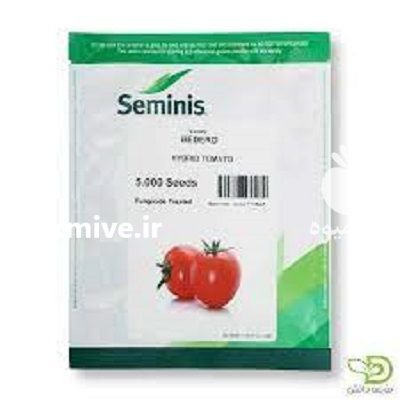 بذر گوجه فرنگی بدرو در گروه خرید و فروش بذر گوجه در یکمیوه -عکس1