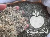 تهیه توضیع نهاده های دامی خوراک در کلاله در گروه خوراک دام و طیور در یکمیوه -عکس1
