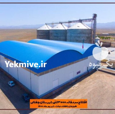 خرید و کلی انواع انگور در گروه خرید و فروش انگور در یکمیوه -عکس1