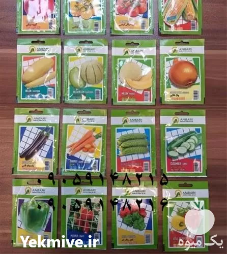 خرید بذر صیفی جات زیر قیمت در گروه خرید و فروش بذر صیفی جات در یکمیوه -عکس1