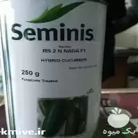 فروش بذر خیار دو ان در قزوین در گروه خرید و فروش بذر خیار در یکمیوه