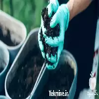 فروش خاک آپارتمانی بسته 20 کیلویی در تهران در گروه انواع محصولات خاک و تغذیه در یکمیوه