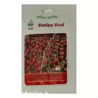 خرید بذر گوجه چری قرمز زیتونی در گروه خرید و فروش بذر گوجه در یکمیوه