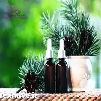 عمده روغن کاج به همراه نمونه در اصفهان در گروه خرید و فروش انواع روغن در یکمیوه
