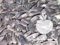 تخمه آفتابگردان اسکار بذری بوجار شده در کلاله در گروه خرید و فروش انواع تخمه در یکمیوه -عکس1