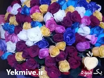 قیمت خرید عمده گل رز هلندی در تهران در گروه خرید و فروش توری گلخانه در یکمیوه -عکس1