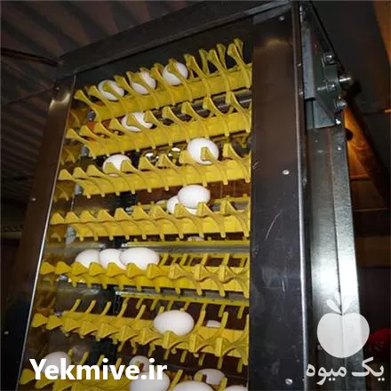 قیمت خرید سیستم جمع آوری تخم در مشهد در گروه تجهیزات مرغداری در یکمیوه -عکس1