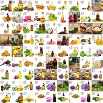 کنجد و انواع دانه در تهران در گروه خرید و فروش دانه های روغنی در یکمیوه -عکس2