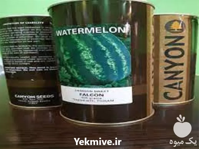 قیمت خرید بذر هندوانه فالکون در تهران در گروه خرید و فروش بذر هندوانه در یکمیوه -عکس1