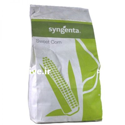 بذر ذرت اکسن چوئیت در قزوین در گروه خرید و فروش بذر ذرت در یکمیوه -عکس1