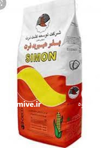 بذر ذرت سیمون _با قیمت مناسب در گروه خرید و فروش بذر ذرت در یکمیوه -عکس1