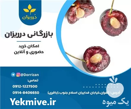 فروش مغز هسته آلبالو روغن گیری در تهران در گروه خرید و فروش انواع روغن در یکمیوه -عکس1