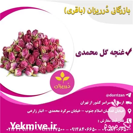 قیمت خرید عمده غنچه گل محمدی در گروه خرید و فروش گیاهان دارویی در یکمیوه -عکس1
