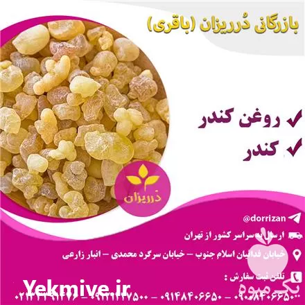 فروش عمده کندر خوراکی در تهران در گروه خرید و فروش انواع روغن در یکمیوه -عکس1