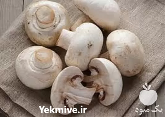 پرورش قارچ دکمه ای حرفه ای در تهران در گروه دوره آموزش کشاورزی در یکمیوه -عکس1