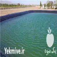 قیمت خرید ورق ژئوممبران و ژئوتکستایل در عسلویه در گروه خرید و فروش ژئوممبران در یکمیوه